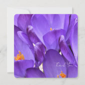 Spring Crocus Flower Photography Bedankkaart (Voorkant)