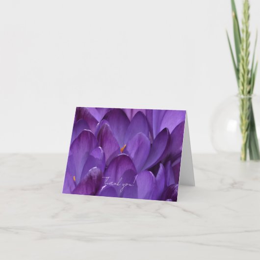 Spring Crocus Flower Photography Bedankkaart (Voorkant)