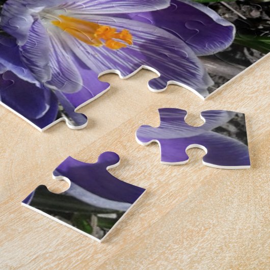 Spring Crocus Flowers in Park Legpuzzel (Zijkant)