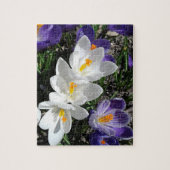 Spring Crocus Flowers in Park Legpuzzel (Verticaal)