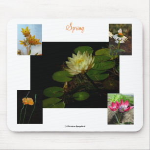 Spring Crocus Flowers Mousepad Muismat