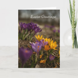 Spring Crocus Gevouwen Paas Wenskaart Kaart