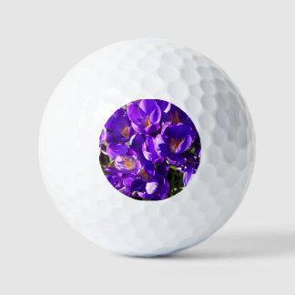 SPRING CROCUS GOLFBALLEN