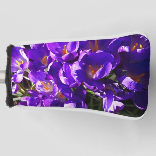SPRING CROCUS GOLFHEADCOVER (Voorkant)