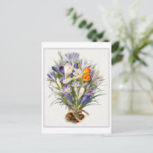 Spring Crocus Illustration Briefkaart (Staand voorkant)