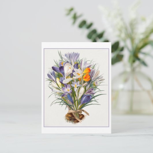  Spring Crocus Illustration Briefkaart (Staand voorkant)