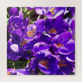 SPRING CROCUS LEGPUZZEL (Horizontaal)