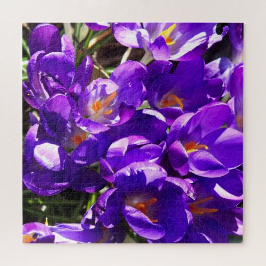SPRING CROCUS LEGPUZZEL (Horizontaal)
