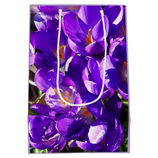 SPRING CROCUS MEDIUM CADEAUZAKJE (Achterkant)