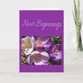 Spring Crocus Nieuw Begin Kaart