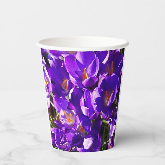 SPRING CROCUS PAPIEREN BEKERS (Achterkant)
