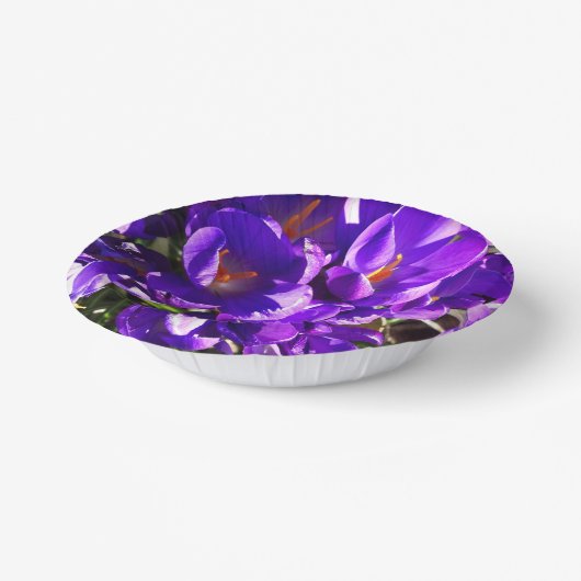 SPRING CROCUS PAPIEREN KOMMEN (Gebogen)