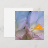 Spring Crocus Photography Bedankkaart (Voorkant / Achterkant)