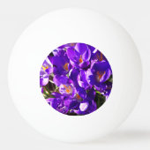 SPRING CROCUS PINGPONGBAL (Achterkant)