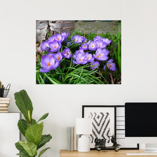 Spring Crocus Poster (Thuiskantoor)