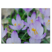 Spring Crocus van dichtbij Snijplank (Voorkant)