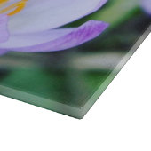 Spring Crocus van dichtbij Snijplank (Hoek)