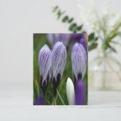 Spring Crocuses briefkaart (Staand voorkant)