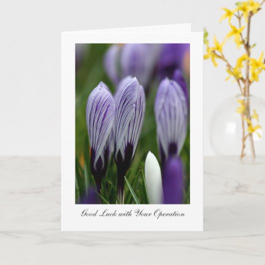 Spring Crocuses - Succes met uw operaties Kaart (Gele Bloem)
