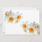 Spring Daffodil Birthday Kaart (Achterkant)