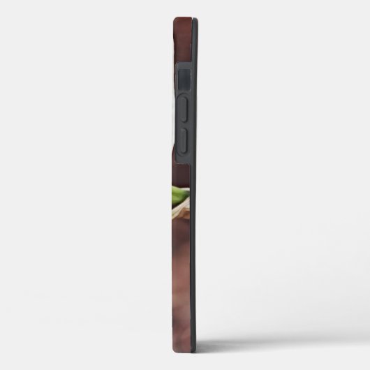 Spring Daffodil Bloem Kunst Bloemen Telefoon Case (Achterkant / Links)