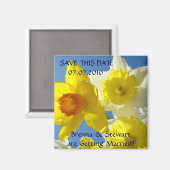 Spring Daffodil Bloemen Bewaar deze Date magneet (Voorkant / Achterkant)
