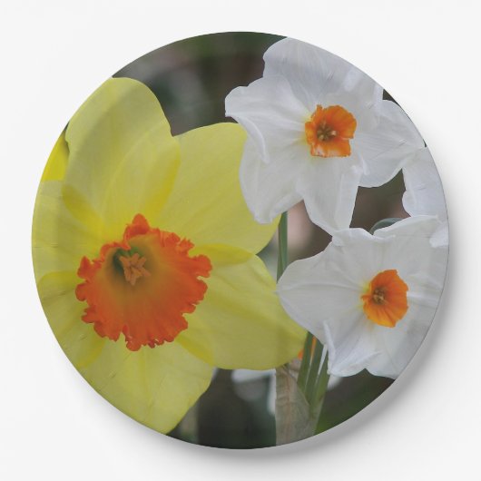 Spring Daffodil Blooms Floral Papieren Bordje (Voorkant)