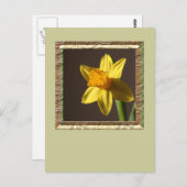 Spring Daffodil Briefkaart (Voorkant / Achterkant)