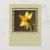 Spring Daffodil Briefkaart (Voorkant)
