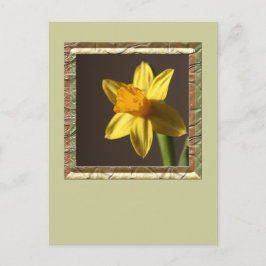 Spring Daffodil Briefkaart