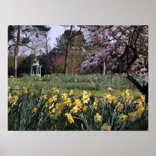 SPRING DAFFODIL GARDEN POSTER (Voorkant)