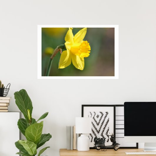 Spring Daffodil Poster (Thuiskantoor)