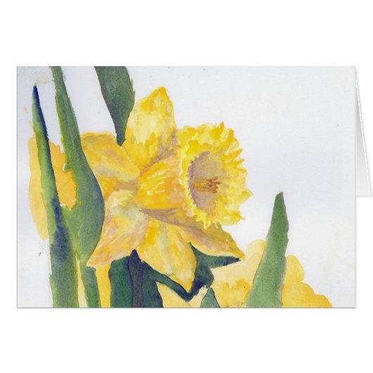 Spring Daffodils (Voorkant Horizontaal)