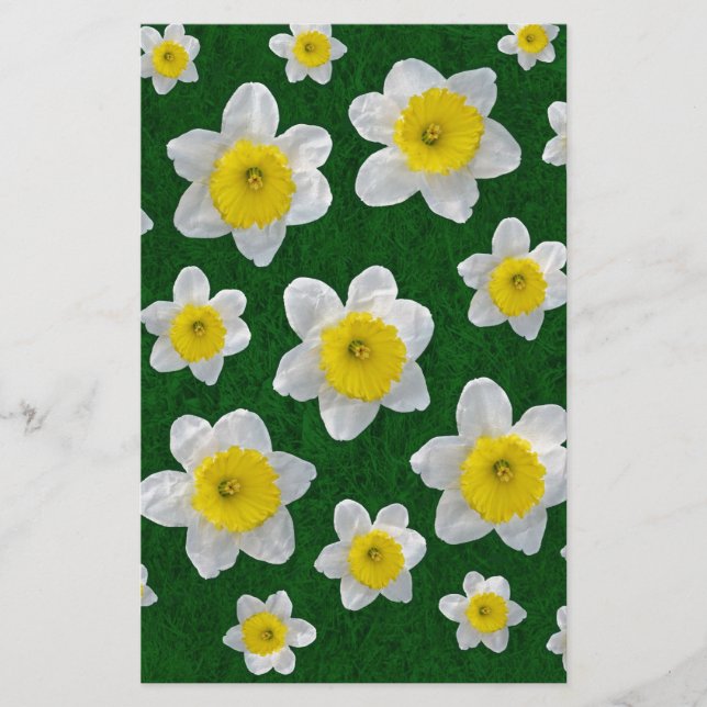 Spring Daffodils (Voorkant)