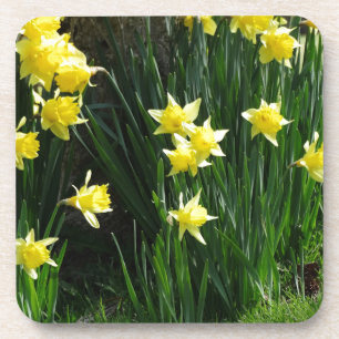 Spring Daffodils Bier Onderzetter