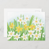 Spring Daffodils Briefkaart (Voorkant / Achterkant)