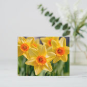 Spring Daffodils Briefkaart (Staand voorkant)