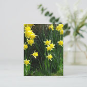 Spring Daffodils Briefkaart (Staand voorkant)
