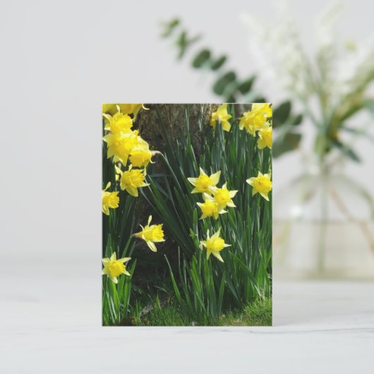 Spring Daffodils Briefkaart (Staand voorkant)