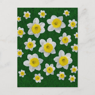 Spring Daffodils Briefkaart