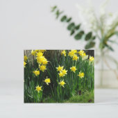 Spring Daffodils Briefkaart (Staand voorkant)