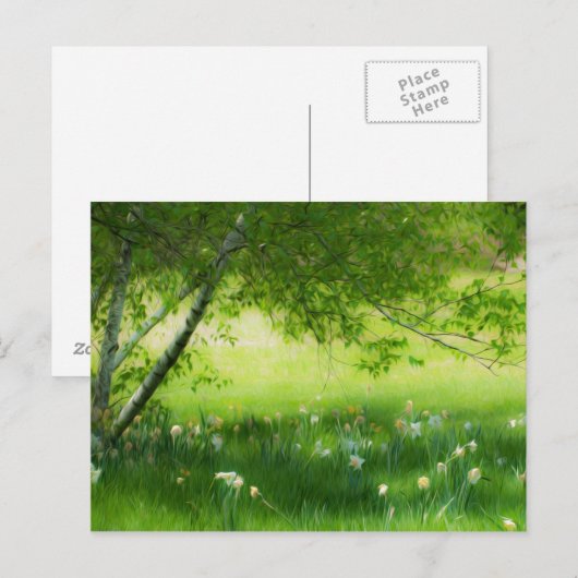 Spring Daffodils Briefkaart (Voorkant / Achterkant)