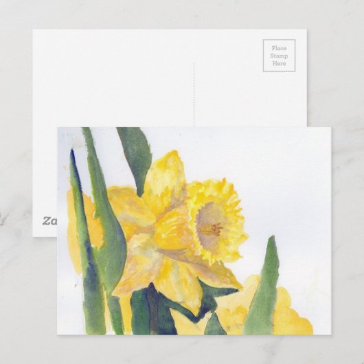 Spring Daffodils Briefkaart (Voorkant / Achterkant)