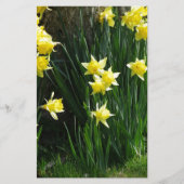 Spring Daffodils Briefpapier (Voorkant)