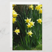 Spring Daffodils Briefpapier (Voorkant / Achterkant)