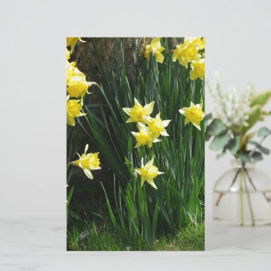 Spring Daffodils Briefpapier (Staand voorkant)