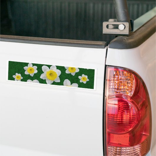 Spring Daffodils Bumpersticker (Op Truck)