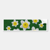 Spring Daffodils Bumpersticker (Voorkant)