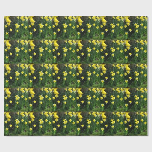 Spring Daffodils Cadeaupapier (Vlak)
