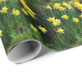 Spring Daffodils Cadeaupapier (Rol Hoek)